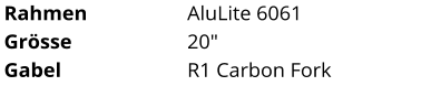 Rahmen AluLite 6061 Grösse 20" Gabel R1 Carbon Fork
